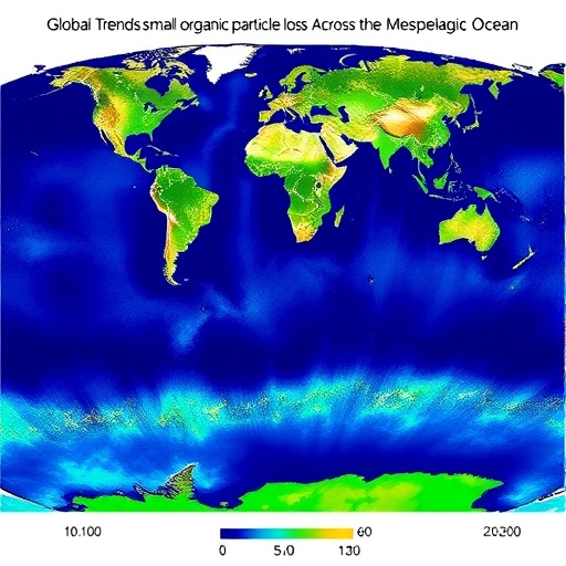 Global Trends in Small Organic Particle Loss Across the Mesopelagic Ocean