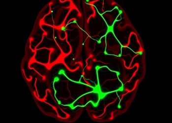 Glutamate co-release by inhibitory nigral neurons reverses motor deficits in Parkinson’s mice