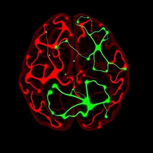 Glutamate co-release by inhibitory nigral neurons reverses motor deficits in Parkinson’s mice