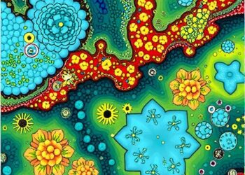 Groundwater Microbiomes Reveal Diversity, Geographic Patterns, and Assembly Processes