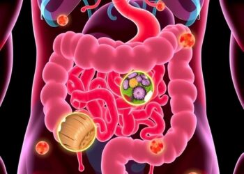 Gut Cell Turnover Depends on Nutrient Quantity, Not Quality, Study Finds