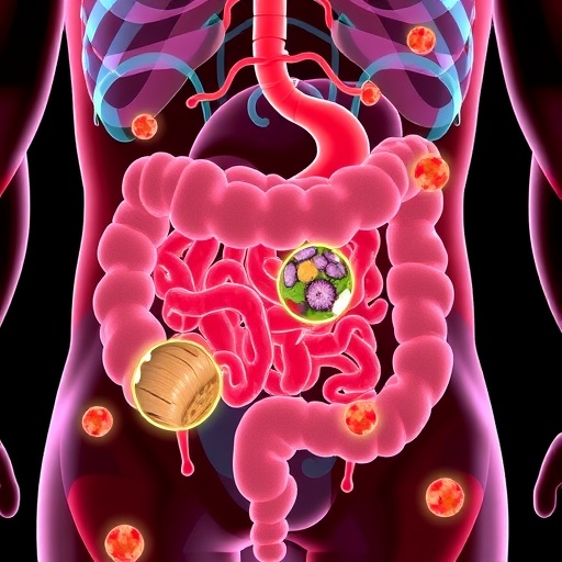 Gut Cell Turnover Depends on Nutrient Quantity, Not Quality, Study Finds