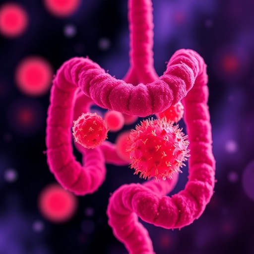 Gut microbe sugar molecule helps low-protein diet fight pancreatic cancer