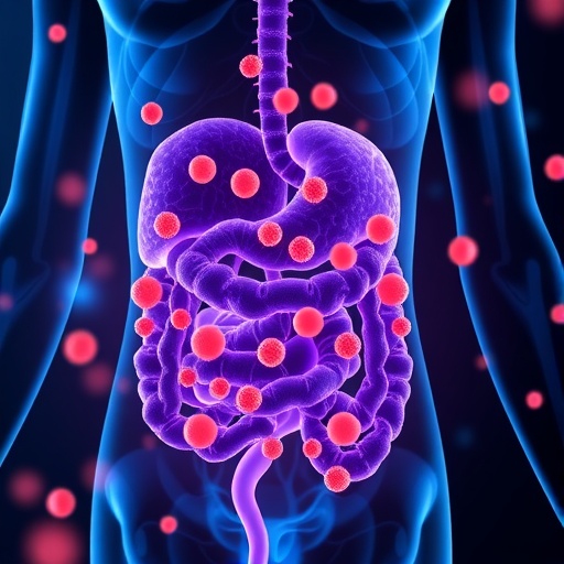 Gut microbiome imbalance expands inflammatory dendritic cells, triggering early autoimmunity