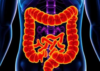 Gut Microbiota Shape Radiotherapy Effectiveness and Toxicity in Colorectal Cancer
