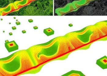 Hedgerow Structure Predicts Biodiversity Across Taxa in Ground and Airborne LiDAR Study