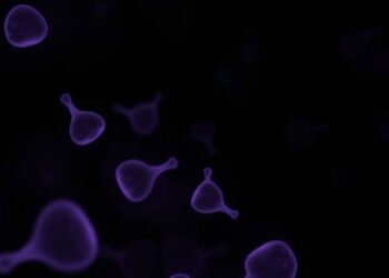 Hetrombopag Prevents Cancer Therapy-Induced Thrombocytopenia in Breast Cancer: Randomized Phase II Trial