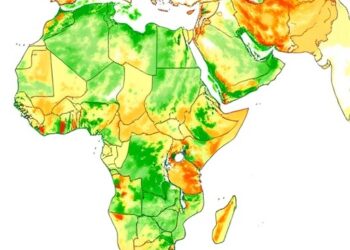 High-resolution mapping reveals linked carbon and biodiversity losses across regions, crops