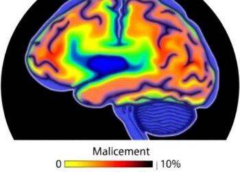Hippocampal Subregion Changes Before and After Antidepressants in Youth at Bipolar Risk