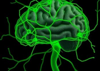Hippocampal Wiring Study Finds Graded Mossy Fiber Inputs and Targeted Inhibition