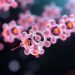 Hive-Inspired Nanocarriers Enable Recyclable Single-Chain Nanocatalysts
