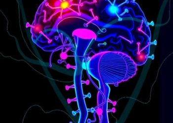 HKUMed research with Hong Kong Genome Institute uncovers new glioblastoma treatment targets