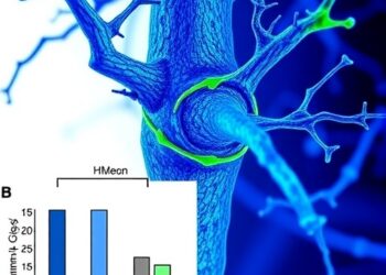 HMGA1 Promotes Bone-Like Transformation of Vascular Muscle Cells in Kidney Disease