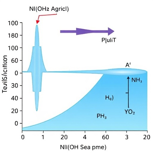 How Anions Shape Ni(OH)₂ Synthesis and Seawater Electrolysis Performance