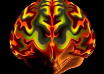 How Hippocampal Development Influences Post-Traumatic Stress Disorder in Children