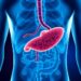 How Inflammatory Gut–Liver Crosstalk Drives Disease and Reveals New Treatment Targets