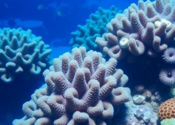 How Local Conditions Shape Coral Survival and Growth Across Taxa