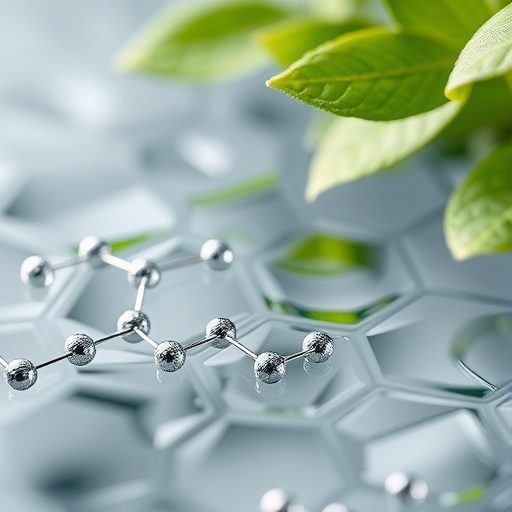 How Metal Oxide Nanomaterials Transform While Removing Phosphate from Water