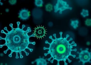 How Mitochondria Change During Orthoflavivirus Infections in Humans and Mosquitoes