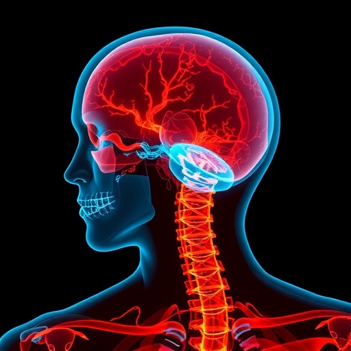 Human-Centered AI Strengthens X-Ray Analysis Through Holistic Self-Supervised Learning