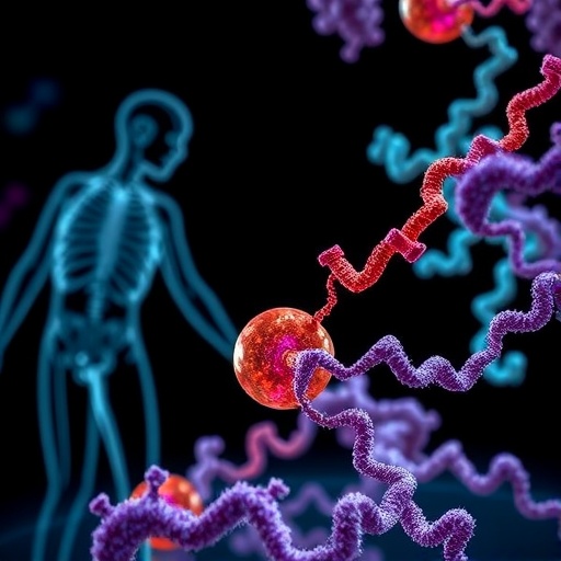 Human TOM and TIM22 complexes join forces to import mitochondrial carriers