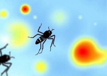 IDAMS Study Improves Early Prediction of Severe Dengue Outcomes