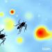 IDAMS Study Improves Early Prediction of Severe Dengue Outcomes