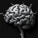 Idiotypic-Susceptible Alzheimer’s Disease Identified as Clinically Relevant Neurofibrillary Tangle Subtype