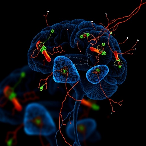 IL-6 Signaling Impairs Tregs and Promotes Pathogenic Th1-Like Cells in Depression
