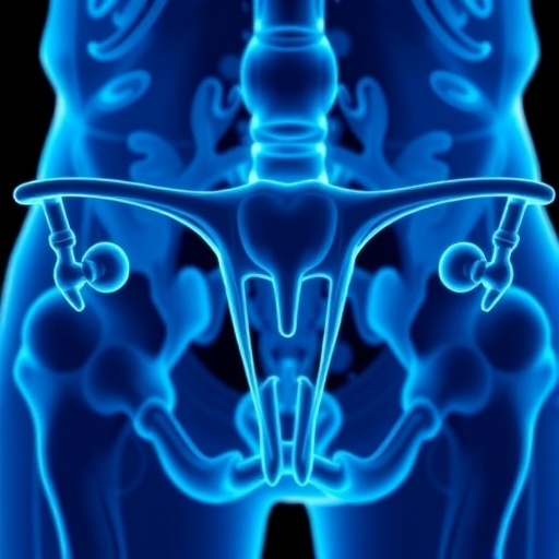 Immunotherapy Shows Promise Against Hard-to-Treat Ovarian Cancer Subtype
