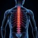 Implantable Device May Restore Function After Spinal Cord Injury