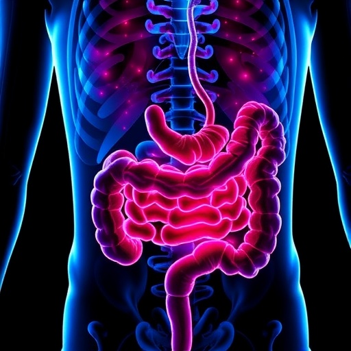 Inflammatory Bowel Disease Linked to Higher Risk of Psychiatric Disorders