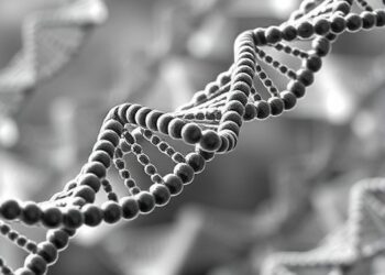 Interpretable DNABERT Models Predict DNA Replication Origins in S. cerevisiae