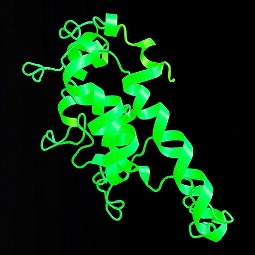 Isolated SACSIN HEPN Domain Exhibits RNA-Binding Activity
