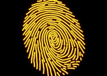 KAIST develops light-based artificial fingerprints to distinguish genuine products from counterfeits