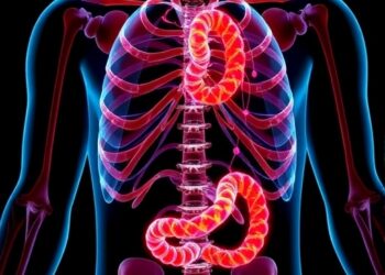KAIST develops treatment targeting cancer cachexia, a debilitating wasting syndrome
