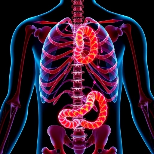 KAIST develops treatment targeting cancer cachexia, a debilitating wasting syndrome