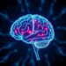 Ketogenic Interventions Show Potential for Brain and Metabolic Health in Mental Disorders