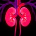 Kidney Function Improves After Transcatheter Tricuspid Edge-to-Edge Repair