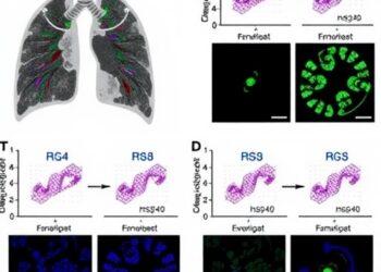 Levistilide A Drives Ferroptosis via RNF40-HSP90α Axis, Suppressing Colorectal Cancer Lung Metastasis