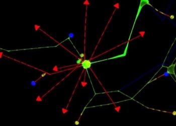 Light-triggered proximity labeling identifies SLK as a cancer-specific c-Myc co-regulator
