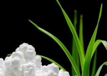 Lignin and Silica Boost Rice Straw Cellulose Aerogels’ Insulation and Stability