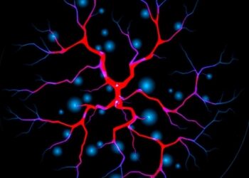 Long-term multimodal study reveals peripheral nerve involvement in wild-type transthyretin amyloidosis