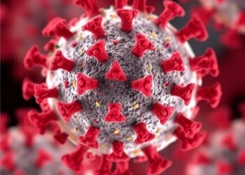 M18-China Crimean-Congo Hemorrhagic Fever Virus GP38 Protein Shows Broad Immune Recognition