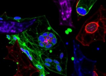 Macrophage Gsα Deficiency Accelerates Tumor Progression Through MAPK Signaling