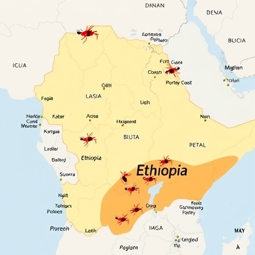 Malaria Resurges Across Ethiopia