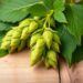 Malt and hop compounds strengthen skin antioxidant defenses against psoriasis inflammation