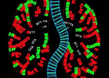 Mapping NFYA 3′UTRs reveals targetable alternative polyadenylation vulnerability in prostate cancer