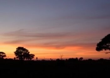 Mapping Where and When Hunting Is Most Likely Across the Tropics