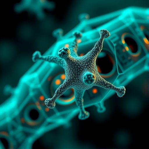 Mathematics and medicine unite to unravel cancer’s enduring mystery